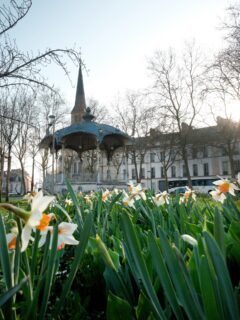 Une petite balade en ville, pour profiter du soleil en ce début de semaine. 
Comme vous pouvez le voir, la nature pointe le bout de son nez à Dijon! 🤭

• Nature - Photographie - Balade - Bourgogne • 
#dijonnais #lacotedorjadore #labourgogne #sortezchezvous #explorefrance