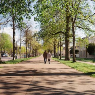 Le printemps aux Allées du Parc à Dijon, immortalisé sur pellicule. 

📸 Rolleicord Va
🎞️ Kodak Gold 200

• Bourgogne - Dijon - Photographie •
#dijon #labourgogne #kodak #lacôtedorjadore #bourgognefranchecomtetourisme