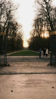 Le soleil tire doucement sa révérence, la lumière devient douce, mais la vie continue paisiblement sur les Allées du Parc à Dijon. 🥰

• Dijon - Balade - Photographie •
#bourgognefranchecomtetourisme #explorefrance #slowlifestyle #dijonnais #travelgram #mybourgogne