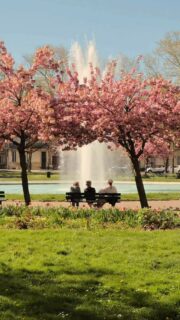 Les petits instants de vie à Dijon. Des moments simples que j’aime regarder et immortaliser, comme ici sur la belle Place Wilson. 

• Dijon - Bourgogne - Côte-d’Or •
#explorefrance #lacotedorjadore #travelgram #sortezchezvous #bourgognefranchecomtetourisme