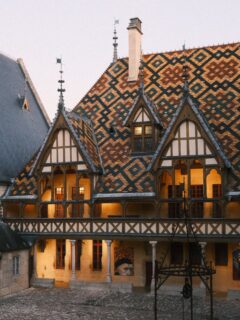 📸🎨 Retour en images sur la soirée d’inauguration des œuvres réalisées par l’artiste DELTA à l’Hôtel Dieu. 

Cette œuvre vient clôturer le parcours « Imaginaires Kréatifs / Visions hospitalières - Visions minérales », un projet artistique inscrit dans le cadre des 10 ans des Climats : « quand le patrimoine ancien dialogue avec le street art ».

Une belle manière de réinventer cet endroit unique dans la région et ainsi profiter de l’Hôtel Dieu d’une autre manière ! 

N’attendez plus pour vous rendre dans ce monument d’exception et profiter de cette belle exposition temporaire !

• Balade - Bourgogne - Culture - Patrimoine •
#beaune #bourgogne #labourgogne #mybourgogne #bourgognefranchecomté #bourgognefranchecomtetourisme #sortezchezvous #france #beaunetourisme #beaunefrance #france🇫🇷 #visitfrance #explorefrance #dijonnais #dijon #photo #photographer #fuji #fujifilm #fierdemonfuji #lacotedorjadore #cotedor #côtedor #bourgognewine #welovebourgogne #igersbourgogne #lepetitjoufflu #travel #travelgram #photographer #photography