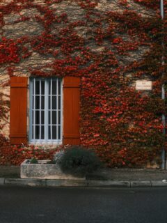 🫶 Villecomte, mon village du mois…

Balade automnale dans ce joli petit village. 
De la vigne aux feuilles pourpres, de jolies bâtisses, une lumière douce… J’aime tellement ce genre de balades sous le vent frais de l’automne. 🥰

• Bourgogne - Tourisme - Patrimoine •
#travel #explorefrance #bourgognefranchecomtetourisme #dijonnais #dijonville #travelgram #france #travelblogger #bourgogne #france🇫🇷 #issurtille #bourgognefranchecomté #bourgognetourisme #mybourgogne #labourgogne #lacotedorjadore #cotedor #côtedor #lautomnecestenbourgogne #dijonmustard #escapade #voyage #tourismefrance #tourismelocal #slowlifestyle #photographe #photography #photographie #photo #fierdemonfuji