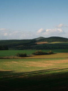 🥾 Petite Rando. 
Au départ de Villecomte un petit parcours de randonnée vous propose de parcourir le village, avant de vous faire traverser champs et forêts. 
À mi-chemin, vous découvrirez les vestiges d’un lieu de la Résistance, la Ferme de Mortière. 

Une jolie balade en pleine nature, longue de 10km. 🥰

• Bourgogne - Tourisme - Patrimoine •
#travel #explorefrance #bourgognefranchecomtetourisme #dijonnais #dijonville #travelgram #france #travelblogger #bourgogne #france🇫🇷 #issurtille #bourgognefranchecomté #bourgognetourisme #mybourgogne #labourgogne #lacotedorjadore #cotedor #côtedor #lautomnecestenbourgogne #dijonmustard #escapade #voyage #tourismefrance #tourismelocal #slowlifestyle #photographe #photography #photographie #photo #fierdemonfuji