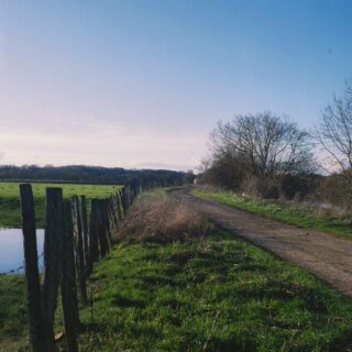 Les bords de Saône sur pellicule. 
Un cadre inspirant pour faire de la photographie argentique. 

📸 Rolleicord Va
🎞️ Fujifilm Pro 160 NS périmée

• Bourgogne - Photographie - Nature - Balade •
#fujifilm #sortezchezvous #lacotedorjadore #explorefrance #bourgognefranchecomtetourisme
