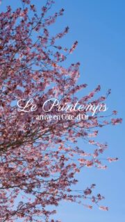 C’est vrai qu’en Côte-d’Or et même en Bourgogne plus largement, l’hiver peut être difficile à supporter avec ses longues semaines de nuages gris, de pluie ou de brouillard. 
Mais je suis persuadé que c’est pour apprécié encore plus le retour du soleil lorsque le printemps commence à se montrer. 😌

• Nature - Bourgogne - Patrimoine •
#explorefrance #dijon #lacotedorjadore #labourgogne #bourgognefranchecomtetourisme