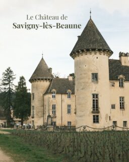 🏛️ Idée de visite dans la région:
Le Château de Savigny-lès-Beaune et ses nombreuses collections en tout genre! 

Voici un petit aperçu de ce que vous pourrez découvrir sur place; musée Abarth, du camion de pompier ou encore de la moto… Évidement, il y a de nombreuses autres collections, mais impossible de tout faire tenir en une seule publication !
Le mieux, c’est de découvrir le reste par vous même en allant directement sur place. 😉

🎟️ de 8,50€ à 14€

• Bourgogne - Patrimoine - Découverte •
#lacotedorjadore #labourgogne #sortezchezvous #bourgognefranchecomtetourisme #explorefrance