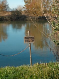 😎 Le SAINT-TROPEZ de la Bourgogne?! 
Il paraîtrait que c’était le petit surnom qui pouvait, parfois, être donné au village de Lechâtelet !

La raison? Il y a plusieurs décennies de ça, les habitants de la région étaient nombreux à avoir construits des bungalows au bord de la Saône, afin d’avoir à leur disposition une résidence secondaire pour les vacances. 
D’ailleurs, ils existent toujours et ont donnés naissance au « Chemin des Bungalows »! 

Comme quoi, pas besoin de partir bien loin pour être dépaysé ! ☺️

• Bourgogne - Nature - Photographie •
#labourgogne #sortezchezvous #explorefrance #bourgognefranchecomtetourisme #lacotedorjadore