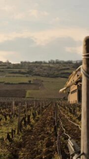 Vosne-Romanée, un nom qui fait rêver de nombreux amateurs de vin. 😉

Derrière cette appellation prestigieuse, se cache un petit village où il fait bon se balader. 
Entre vieilles demeures, lieux historiques et panoramas sur les vignes, c’est un endroit idéal pour s’immerger dans les paysages de côte viticole. 

Bon dimanche à tous 🍇

• Bourgogne - Vin - Nature - Patrimoine • 
#labourgogne #explorefrance #bourgognefranchecomtetourisme #sortezchezvous #lacotedorjadore
