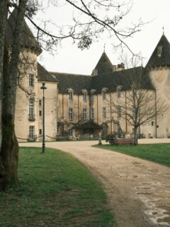 Quelques détails qui ont attirés mon regard au @chateau_savigny 📸

Quelle est votre image favorite ? 

• Bourgogne - Patrimoine - Photographie •
#lacotedorjadore #labourgogne #explorefrance #sortezchezvous #bourgognefranchecomtetourisme