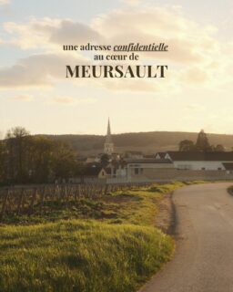 🍷 Aujourd’hui je vous présente @caveaulescharmes , un lieu unique pour découvrir et redécouvrir les vins de notre région, mais aussi d’ailleurs…

Au cœur de Meursault, cette adresse discrète est l’endroit idéal pour s’initier à là dégustation de vins et découvrir des domaines et des viticulteurs que l’on ne trouve pas partout! 

Le cadre est magnifique, l’accueil parfait et une jolie carte d’accompagnements est également disponible. 

N’hésitez pas à pousser la porte de ce bel établissement, situé au centre de Meursault. 

Encore merci à Adrien & Théo pour l’accueil. 🙏

📌 Caveau Les Charmes 
8 Place du Murger 
Mar-Sam: 10h-22h

• Bourgogne - Vin - Terroir •
#lacotedorjadore #labourgogne #explorefrance #dijon beaune 

* invitation *